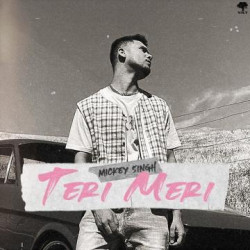 Unknown Teri Meri