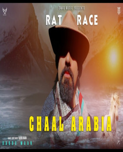 Unknown Rat Race