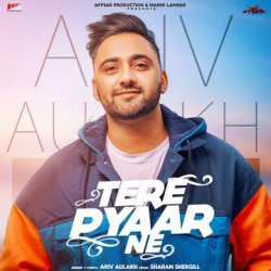 Unknown Tere Pyar Ne