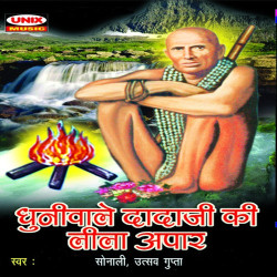 Unknown Dhuniwale Dadaji Ki Leela Apaar