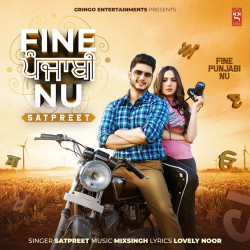 Unknown Fine Punjabi Nu