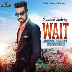 Punjabi-Singles Unknown