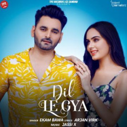 Unknown Dil Le Gya