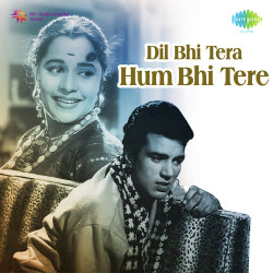 Unknown Dil Bhi Tera Hum Bhi Tere