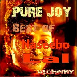 Unknown Pure Joy, Vol 2 (Best Of)
