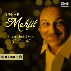Unknown Punjabi Mehfil Vol 2