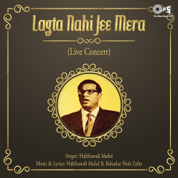 Unknown Lagta Nahi Jee Mera (Live Concert)