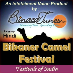 Unknown Bikaner Camel Festival