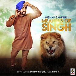 Unknown Meaning Of Singh