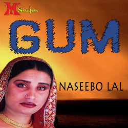 Punjabi Unknown