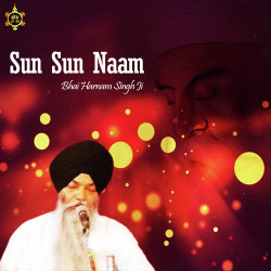 Unknown Sun Sun Naam