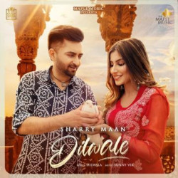 Unknown Dilwale