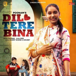 Unknown Dil Tere Bina