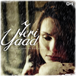 Unknown Teri Yaad - Collection of Sad songs