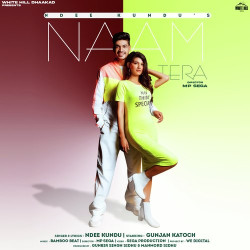 Unknown Naam Tera