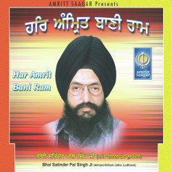 Punjabi Unknown