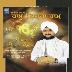 Punjabi Unknown