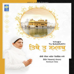 Punjabi Unknown