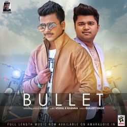 Unknown Bullet