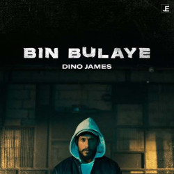 Unknown Bin Bulaye