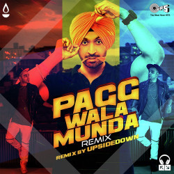 Unknown Pagg Wala Munda (Remix)
