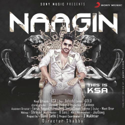 Unknown Naagin