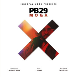 Unknown Pb 29 Moga