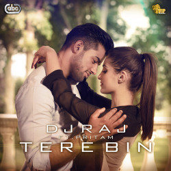 Unknown Tere Bin
