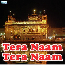 Unknown Tera Naam Tera Naam