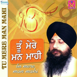Unknown Tu Mere Man Mahi