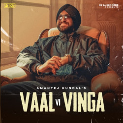 Unknown Vaal Vi Vinga