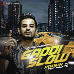 Unknown Gaddi Slow
