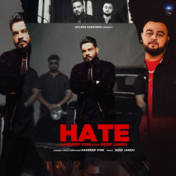 Punjabi-Singles Hate