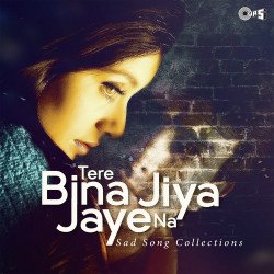 Unknown Tere Bina Jiya Jaaye Na - Sad Songs Collection