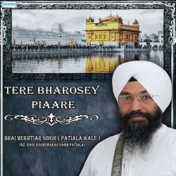 Punjabi Unknown