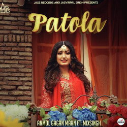 Unknown Patola