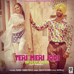 Unknown Teri Meri Jodi