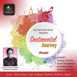 Unknown Sentimental Journey