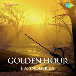 Unknown Golden Hour - Narinder Biba