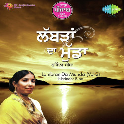 Unknown Sada Punjab - Narinder Biba