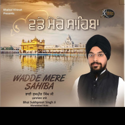Unknown Wadde Mere Sahiba
