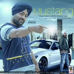 Punjabi-Singles Unknown