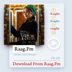 Punjabi-Singles Taare Gawah