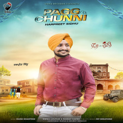 Unknown Pagg vs Chunni