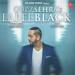 Punjabi-Singles Unknown