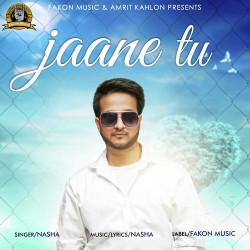 Unknown Jaane Tu