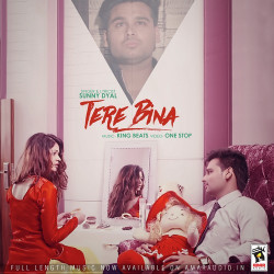 Unknown Tere Bina