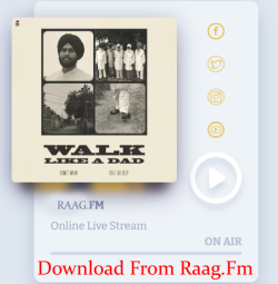 Unknown Walk Like A Dad