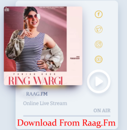 Unknown Ring Wargi
