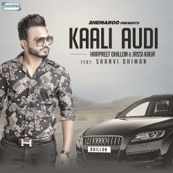 Unknown Kaali Audi